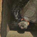 drainage-cleaning-vj
